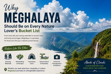 Why Meghalaya Should Be on Every Nature Lover's Bucket List