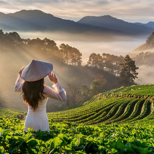 Vietnam